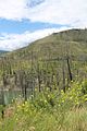 134 - Jasper to Sun Peaks - IMG_1368